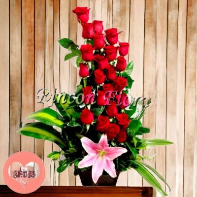 BASE CON 24 ROSAS EN LINEA RF015