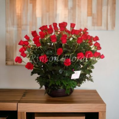 BASE CON 100 ROSAS ROJAS RF036