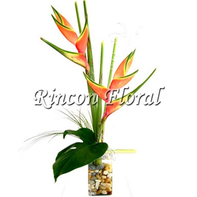Heliconias en Cubo de Cristal.