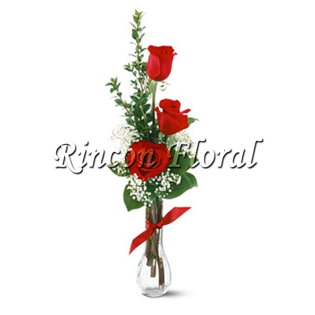 Violetero con 3 Rosas Rojas. CÓDIGO: RF079 – Rincón Floral