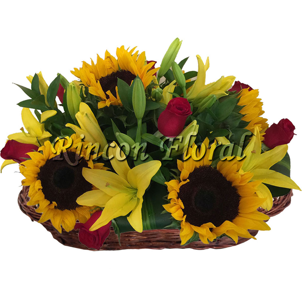 Girasoles y Rosas Rojas en Canasta. CÓDIGO: RF107 – Rincón Floral