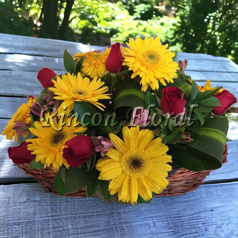 cansta con gerberas amarillas RF108