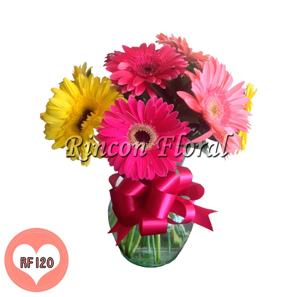 10 Gerberas Multicolor en Jarrón. CÓDIGO: RF120 – Rincón Floral
