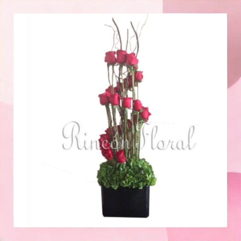 BASE CON 24 ROSAS EN ESPIRAL Y CURLIE RF202