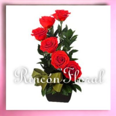 BASE CON 6 ROSAS ROJAS EN CASCADA RF204