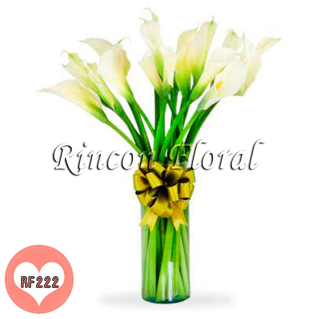 20 Alcatraces en Cilindro de Cristal CODIGO: RF222 – Rincón Floral