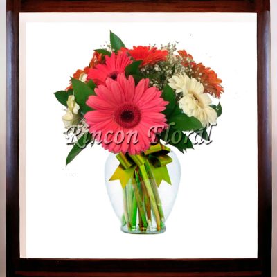 JARRÓN CON 10 GERBERAS Y NUBE RF261