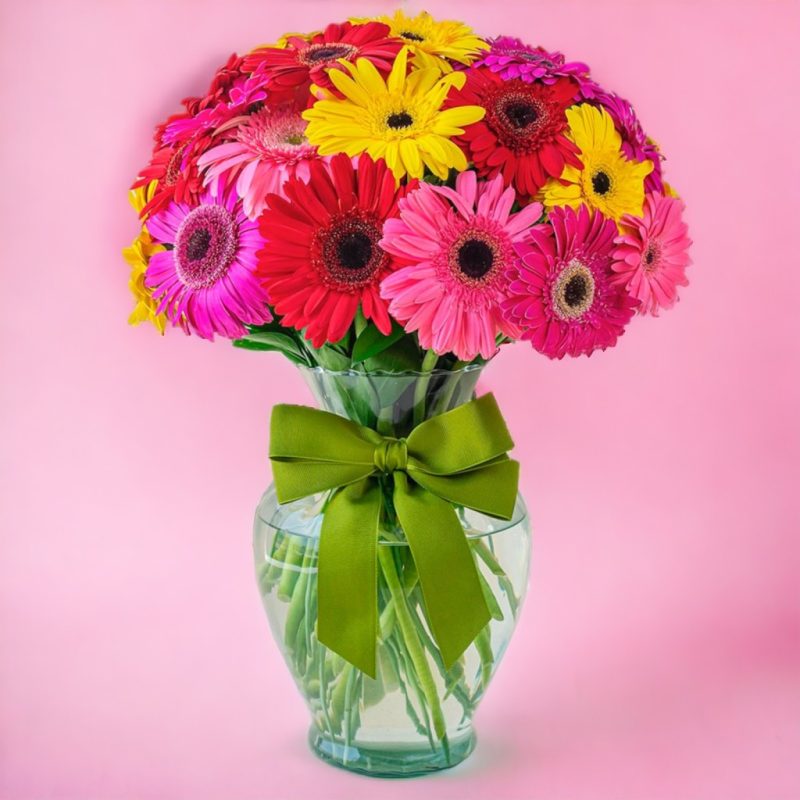 JARRÓN CON 30 GERBERAS MULTICOLOR RF243
