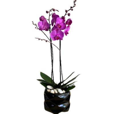 Orquidea en base. CODIGO: RF215
