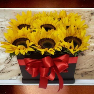 CAJA DE GIRASOLES RF725