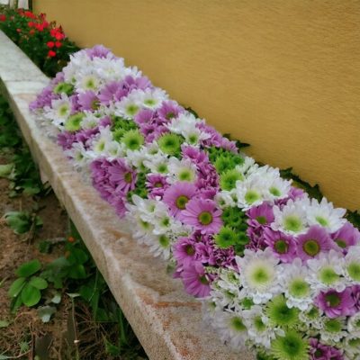JARDINERA CON MARGARITAS RF718