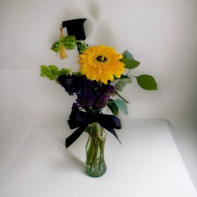 VILOETERO CON GERBERA RF870