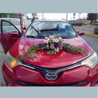 ARREGLO PARA EL CARRO CON LISIANTHUS RF635