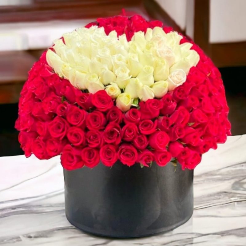 CAJA CILINDRO CON 150 ROSAS RFV91