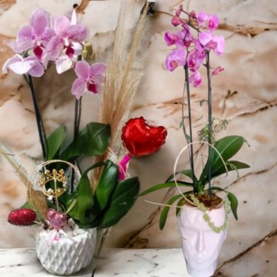 ORQUIDEA EN MACETA DECORATIVA RFV141