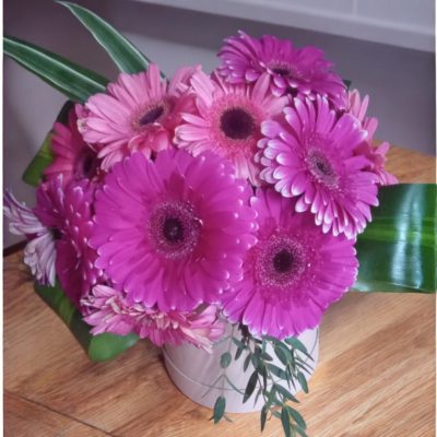 CAJA CON 11 GERBERAS RF974