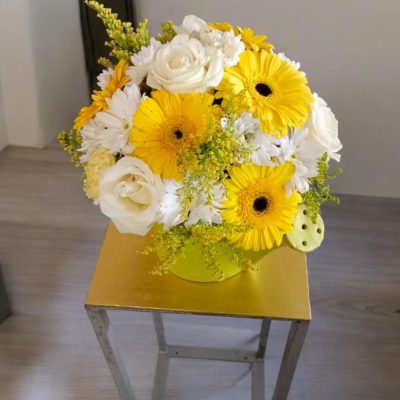 REGADERA EN BLANCO-AMARILLO RFA026