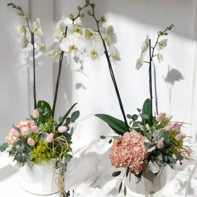 CAJA CON ORQUIDEA, TULIPANES Y HORTENSIA RF936