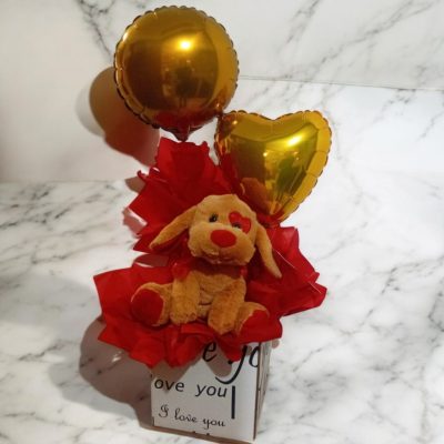 CAJA CON PERRITO CAFE Y GLOBOS RFV117