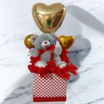 CAJA CON OSO PELUCHE LISTON ROJO rfv112