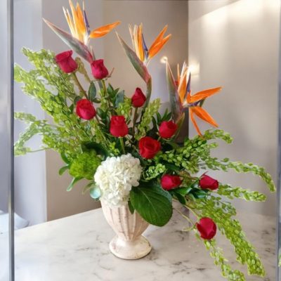 COPA ROMANA CON AVE DE PARAISO RFV39