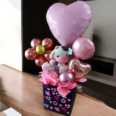 CAJA CON PELUCHE Y GLOBOS RFV53
