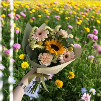 BOUQUET DE 1 GIRASOL CON GERBERAS Y CLAVELES RFA005