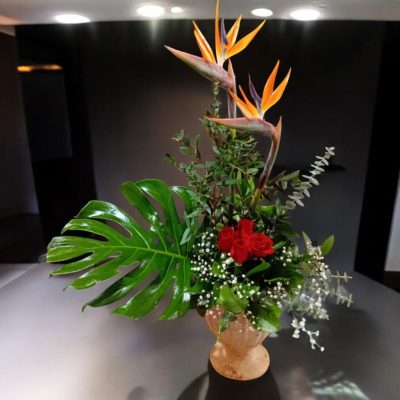 COPA ROMANA CON 2 AVES DE PARAISO RF688