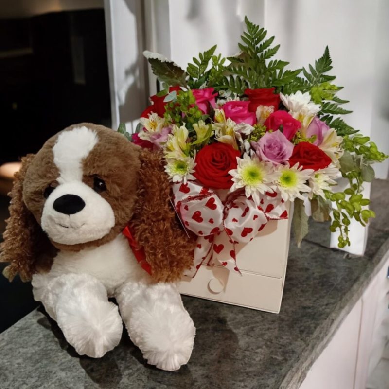 PERRO PELUCHE  MOÑO ROJO Y CAJA BLANCA CUADRADA FLORES VARIADAS RFV139