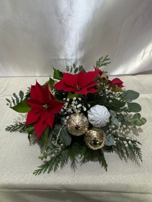 Centro con 3 Noche Buenas