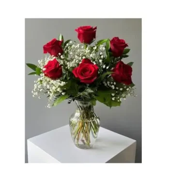Jarrón de 6 Rosas y Baby Breath RFV239