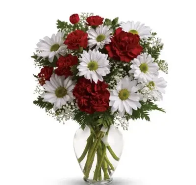 Jarrón de Margaritas y Claveles RFV241