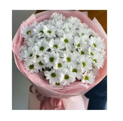 Buquet de Margaritas Blancas RFV252