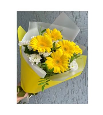 Gerberas y margaritas RFA058