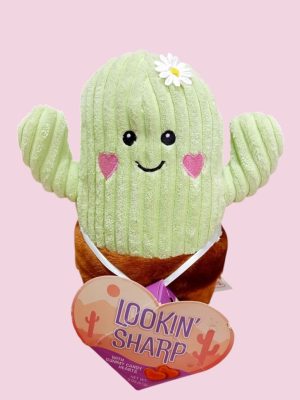 Cactus Ternurita RFP005