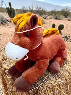 Caballito Aventurero RFP014