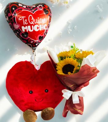 Corazon Peluche RFP028