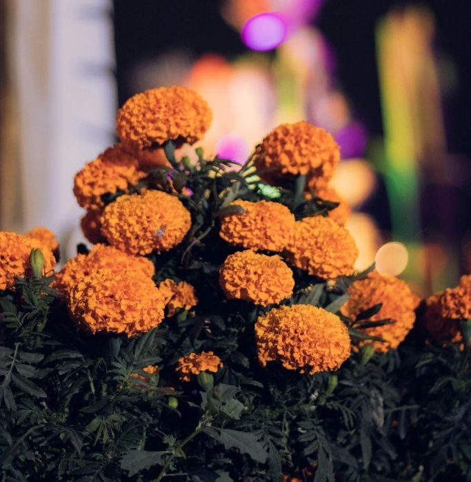 a person holding a bouquet